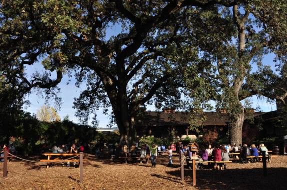 A simpática área para piqueniques na vinícola V. Sattui, no Napa Valley, na Califórnia, nos Estados Unidos